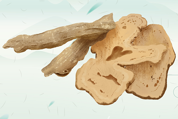 ����Ĺ�Ч�븱���� ����Ĺ�Ч